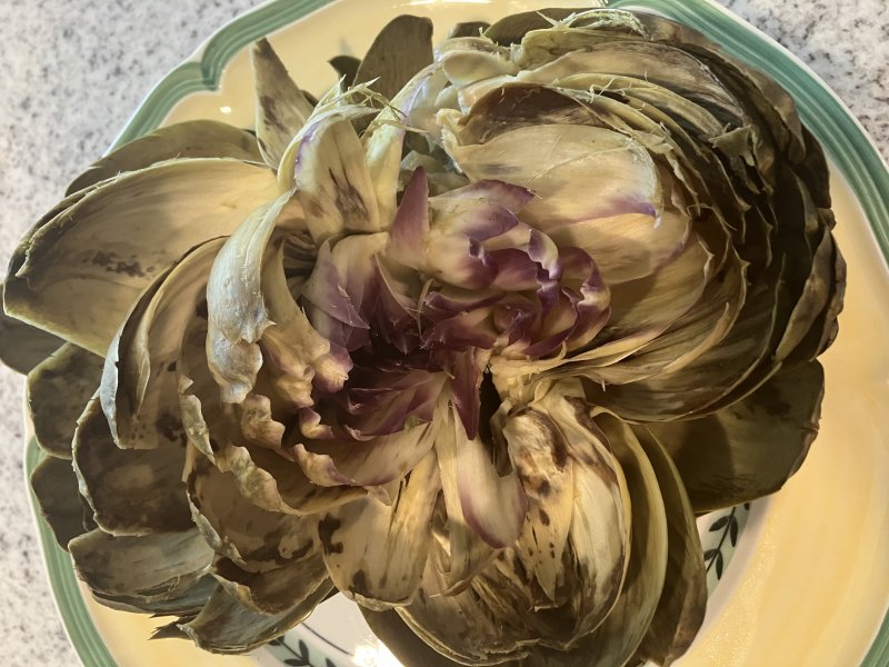The purple leaves at the center of this artichoke are the smallest edible set before reaching the tender heart — but the fuzzy choke must be removed first. SUBMITTED PHOTO